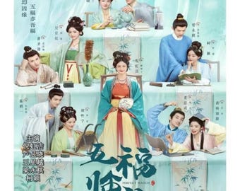 Perfect Match (2025) DVD Chinese Drama Series English Subtitle Free Shipping