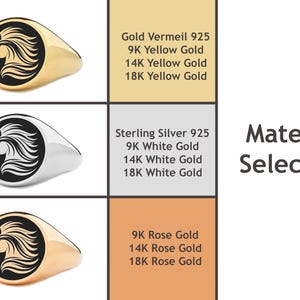 Op de afbeelding: Een selectie van zegelringen met een paardenkopontwerp, getoond in goud, zilver en ros&eacute;goud. De afbeelding toont materiaalopties: Gold Vermeil, Sterling Zilver en Ros&eacute;goud. De tekst luidt 'Materiaalselectie'.