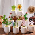 Handmade Glass Cactus and Succulents,Glass Potted Plants,Glass lotus leaf,Stained glass Plants,Housewarming gift,Gift for teacher,Home Decor