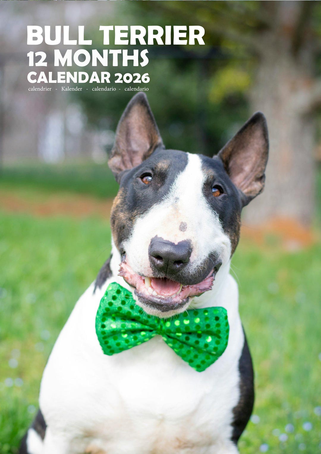 Bull Terrier 2026 A3 Wall Calendars - Etsy Canada