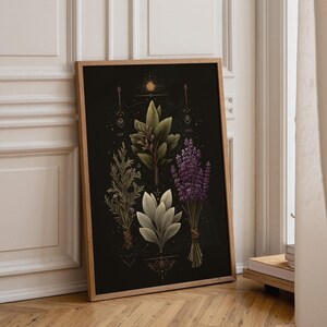 Celestial Herbal Print – Botanical Kitchen Witch Wall Art Poster | Astrology Wall Art | Cottagecore | Botanical Poster imagen 1