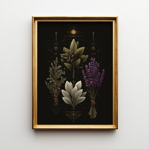 Celestial Herbal Print – Botanical Kitchen Witch Wall Art Poster | Astrology Wall Art | Cottagecore | Botanical Poster imagen 6