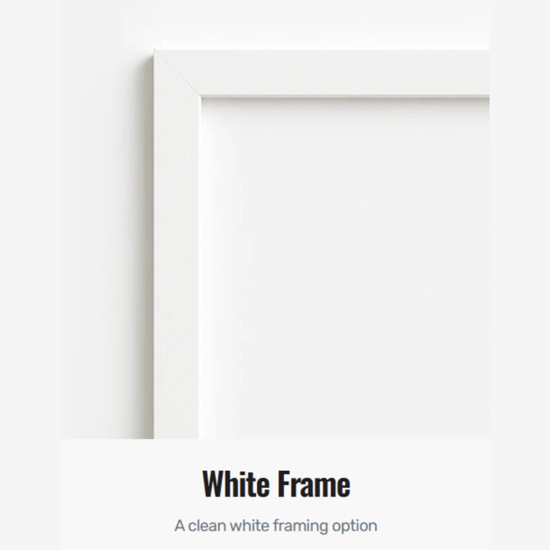A white frame is shown in the image.
