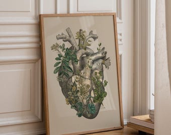 植物解剖図心臓プリント、ヴィンテージ医学イラストポスター、花の解剖図コテージコア装飾