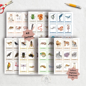 Développer la conscience phonologique – Apprentissage des syllabes en tapant des mains avec des animaux | 42 pages de matériel pédagogique pour la maternelle et le préscolaire