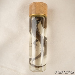 May include: A clear glass bottle with a brown snake preserved inside. The bottle has a wooden cap and a gold-colored band. The snake is coiled within the bottle, and the background is a plain white.