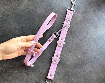 Juego de correas impermeables para el cuidado de perros, hechas a mano, colores personalizados