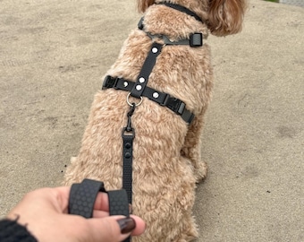 Arnés anatómico impermeable para perros medianos (9-15 kg), ajustable, antitirones, ligero, personalizado
