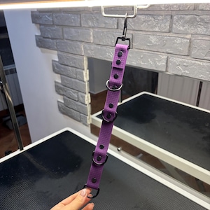 Op de afbeelding: Een paarse verzorgingslus voor huisdieren met zwarte metalen hardware. De lus heeft een gestructureerd oppervlak en is vastgezet met klinknagels en metalen ringen. De lus is opgehangen aan een metalen haak.