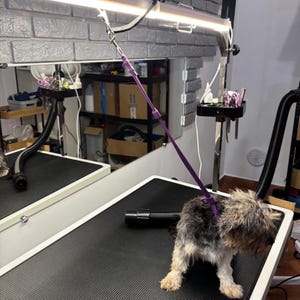 Correa Neha impermeable para perros pequeños, ajustable y fácil de limpiar.