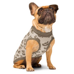 Könnte beinhalten: Eine beige Französische Bulldogge trägt einen ärmellosen Pullover mit beigefarbener Basis und einem dunkelbraunen Leopardenmuster. Der Pullover hat einen gerippten Kragen und Armausschnitte, die für einen festen Sitz am Hundekörper sorgen.
