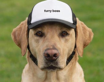 Furry Boss Dog Baseballkeps | Andningsbar mesh-solhatt för hundar | Justerbar husdjursmössa för promenader, vandring och sommaräventyr