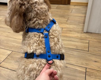 Arnés anatómico impermeable para perros medianos (9-15 kg), ajustable, antitirones, ligero, personalizado