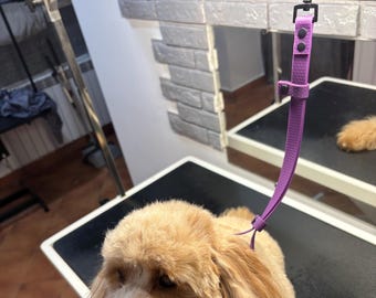 Correa Neha ajustable, impermeable y fácil de limpiar.