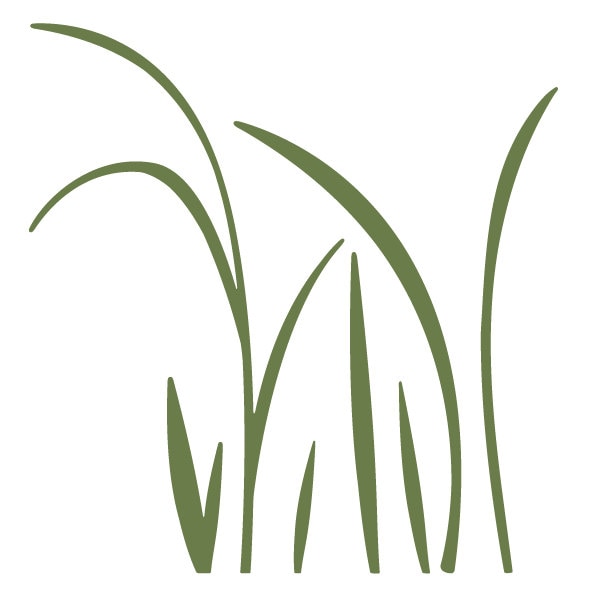 Grass Wall Stencil for Painting Kids or Baby Room Mural (SKU385-istencil)