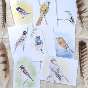 Könnte beinhalten: Eine Sammlung von Aquarelldrucken von Vögeln. Jeder Druck zeigt eine andere Vogelart, die detailliertes Gefieder aufweist und auf Ästen sitzt. Die Drucke befinden sich auf weißen Karten mit weichen Aquarellhintergründen. Federn sind um die Karten platziert.