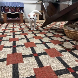 May include: A white cat stands on a patterned rug with red squares and black lines. A wooden cat house with Japanese text is in the background. A wooden chair and a wicker basket are also visible.