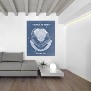 Carta fotografica, carta opaca o tela, modello dello stadio di baseball dei Tampa Bay Rays Tropicana Field, regalo per papà, decorazione da parete, arredamento per la casa