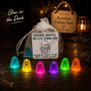 May include: A white organza drawstring bag containing a small ghost figurine, accompanied by a square card that reads: OFFICIALLY ADOPTED: ONE LITTLE GLOWING BOO! Charge me under a bright light to make me glow. Six translucent ghost figurines in blue, yellow, pink, purple, green, and orange are arranged in front.