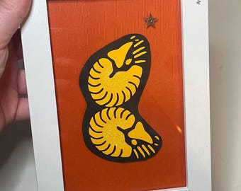 Nautilus Paper Print Framed