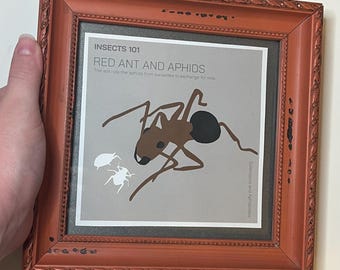 Red Ant and Aphids Print