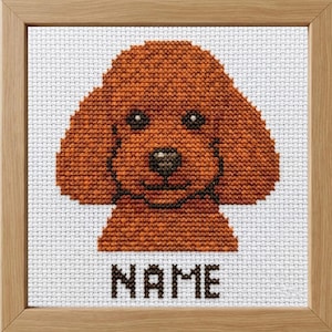 Patrón de punto de cruz para caniche: Nombre personalizado, toy/rojo (Descarga PDF)