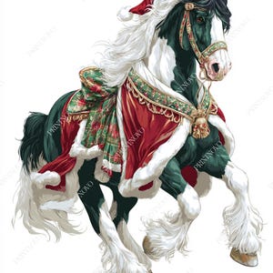 Könnte beinhalten: Digitalillustration eines Pferdes im Weihnachtsthema. Das Pferd ist schwarz und weiß, mit einem roten Weihnachtsmütze und einer rot-grünen Decke. Das Pferd tänzelt, mit erhobenen Vorderbeinen, was ein dynamisches Bild erzeugt.