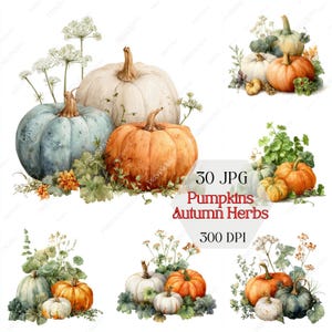 Zucca ad acquerello ed erbe autunnali - Clipart JPG