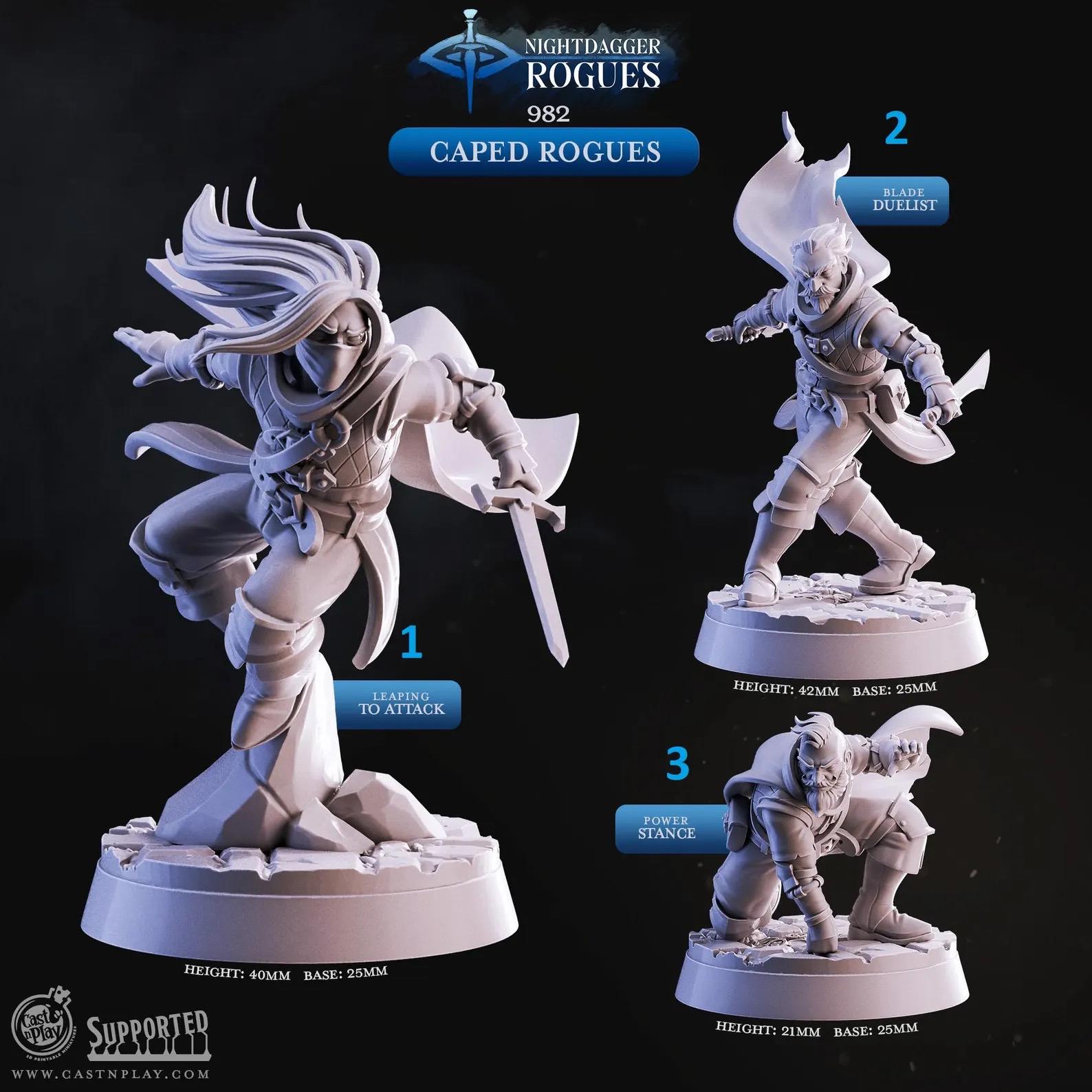Filets Miniatures 3D Miniatures - STL Files - Nightdagger Rogues - Etsy