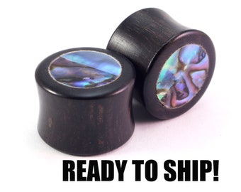 READY TO SHIP 11/16" (17.5mm) Ebony Abalone Dot Inlay Wooden Plugs - Premade Gauges Ship Within 1 Business Day!
