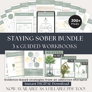Sober Workbook Bundle, ausfüllbares PDF, Suchthilfe, Hilfe zur Selbsthilfe (digitales PDF)