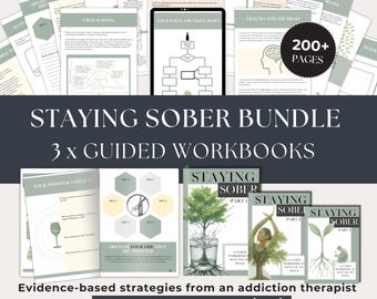 Paquete de cuadernos de trabajo para la sobriedad, PDF rellenable, recuperación de adicciones, autoayuda (PDF digital)
