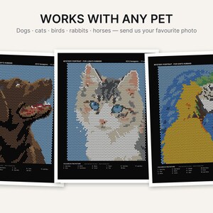 K&ouml;nnte beinhalten: Drei rechteckige Poster mit pixeligen Tierportr&auml;ts aus kleinen Sechsecken. Links ein brauner Hund, in der Mitte eine grau-wei&szlig;e Katze und rechts ein gelb-blauer Vogel. Der Text lautet WORKS WITH ANY PET.