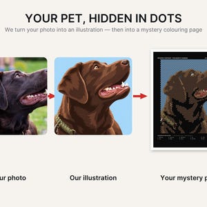 May include: A three-part graphic showing a photo of a brown dog, a digital illustration of the same dog, and a mystery dot-to-dot coloring page. The text reads: YOUR PET, HIDDEN IN DOTS. We turn your photo into an illustration &mdash; then into a mystery colouring page.