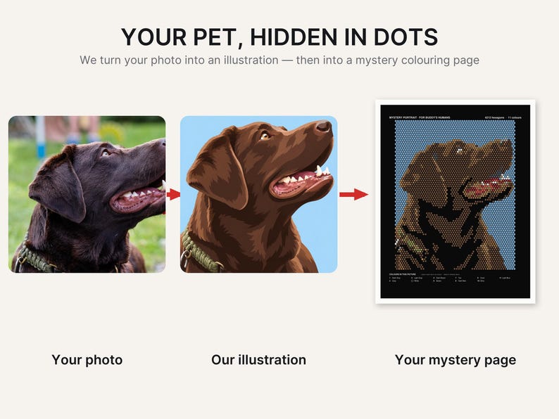 May include: A three-part graphic showing a photo of a brown dog, a digital illustration of the same dog, and a mystery dot-to-dot coloring page. The text reads: YOUR PET, HIDDEN IN DOTS. We turn your photo into an illustration &mdash; then into a mystery colouring page.