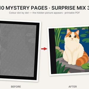 May include: A digital activity set titled 10 MYSTERY PAGES SURPRISE MIX 3 featuring a black grid of white dots labeled BEFORE and a completed colorful illustration of a white and orange cat sitting on a rock by a pond labeled AFTER.