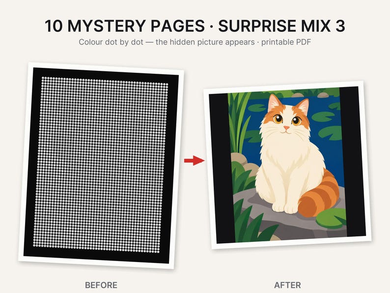 May include: A digital activity set titled 10 MYSTERY PAGES SURPRISE MIX 3 featuring a black grid of white dots labeled BEFORE and a completed colorful illustration of a white and orange cat sitting on a rock by a pond labeled AFTER.