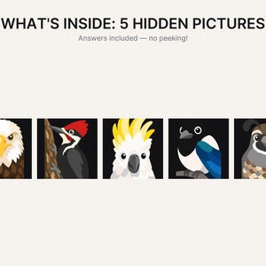 May include: A graphic print featuring the text WHAT'S INSIDE: 5 HIDDEN PICTURES and Answers included &mdash; no peeking! Below the text are five square panels, each displaying a stylized illustration of a different bird against a black background.