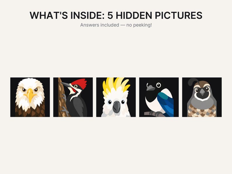 May include: A graphic print featuring the text WHAT'S INSIDE: 5 HIDDEN PICTURES and Answers included &mdash; no peeking! Below the text are five square panels, each displaying a stylized illustration of a different bird against a black background.