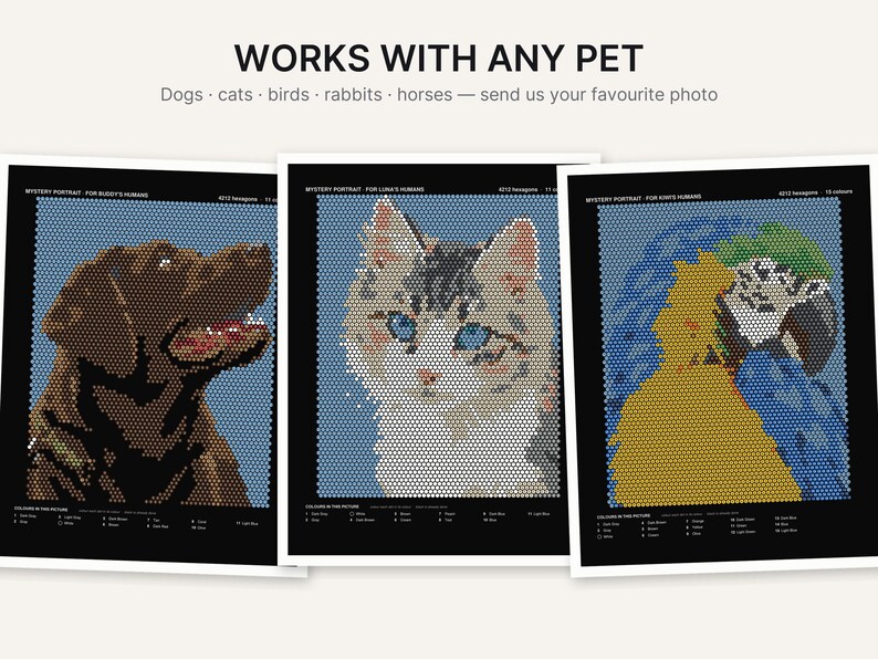 May include: Three rectangular posters featuring pixelated animal portraits composed of small hexagons. The left shows a brown dog, the center a grey and white cat, and the right a yellow and blue bird. Text reads WORKS WITH ANY PET.