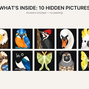 May include: A graphic print titled WHAT'S INSIDE: 10 HIDDEN PICTURES with the subtitle Answers included &mdash; no peeking! The image features ten square panels arranged in two rows, each displaying a stylised illustration of a bird or insect.