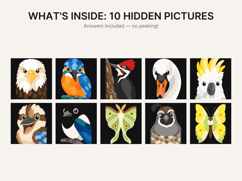 May include: A graphic print titled WHAT'S INSIDE: 10 HIDDEN PICTURES with the subtitle Answers included &mdash; no peeking! The image features ten square panels arranged in two rows, each displaying a stylised illustration of a bird or insect.