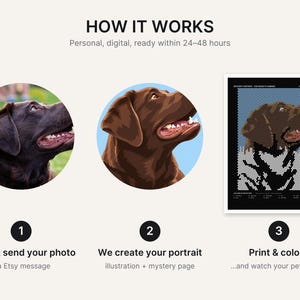 May include: A three-step instructional graphic titled HOW IT WORKS. It shows a photograph of a brown Labrador, a digital illustration of the same dog, and a black-and-white dot-to-dot style grid portrait. Text includes Order & send your photo, We create your portrait, and Print & colour.