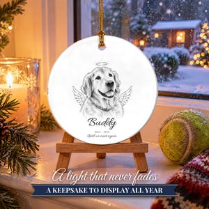 Adorno conmemorativo para mascotas de doble cara con alas de ángel, retrato personalizado de perro a partir de una foto, Puente Arcoíris, regalo para recordar a una mascota fallecida, regalo en memoria de un perro. imagen 15