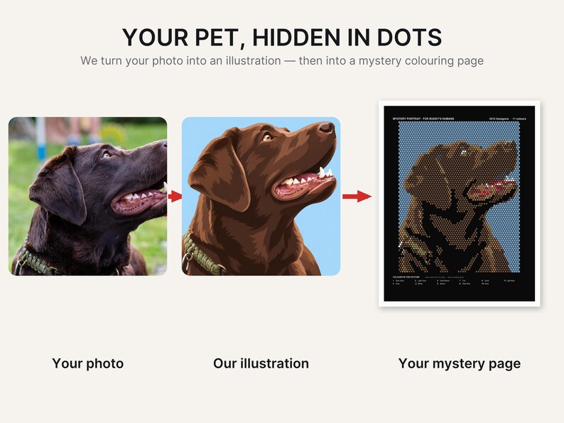 May include: A three-part graphic showing a photo of a brown dog, a digital illustration of the same dog, and a mystery dot-to-dot coloring page. The text reads: YOUR PET, HIDDEN IN DOTS. We turn your photo into an illustration &mdash; then into a mystery colouring page.
