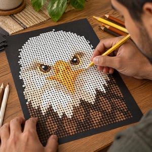 May include: A diamond painting kit featuring a bald eagle portrait on a black background. The design uses white, yellow, and brown circular resin drills to form the eagle's head and beak. A yellow stylus is used to place the small pieces onto the grid.