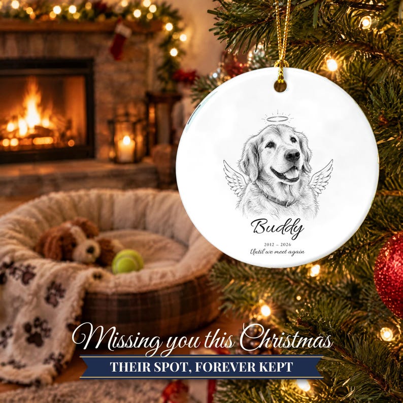 Pet Memorial Ornament with Angel Wings, Custom Dog Portrait from Photo, Rainbow Bridge, Pet Loss Gift, Dog Memorial Gift, Cat Loss image 10