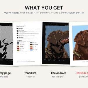 May include: A digital activity set featuring a mystery dot-to-dot page, a pencil color guide, an answer key showing a chocolate Labrador, and a bonus color portrait of the same dog. The text includes 'WHAT YOU GET' and 'How to reveal it'.