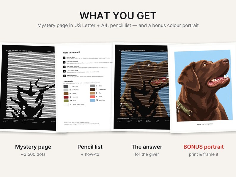 May include: A digital activity set featuring a mystery dot-to-dot page, a pencil color guide, an answer key showing a chocolate Labrador, and a bonus color portrait of the same dog. The text includes 'WHAT YOU GET' and 'How to reveal it'.