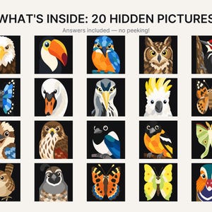 May include: A grid of 20 square illustrations featuring various birds and butterflies on black backgrounds. The text at the top reads WHAT'S INSIDE: 20 HIDDEN PICTURES and Answers included &mdash; no peeking! The colorful icons depict species like eagles, toucans, owls, and moths.